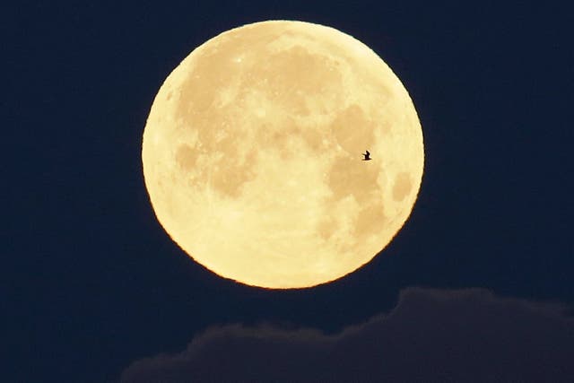 Feburary's supermoon will be slightly brighter and bigger than last month's full moon, seen here from Portugal