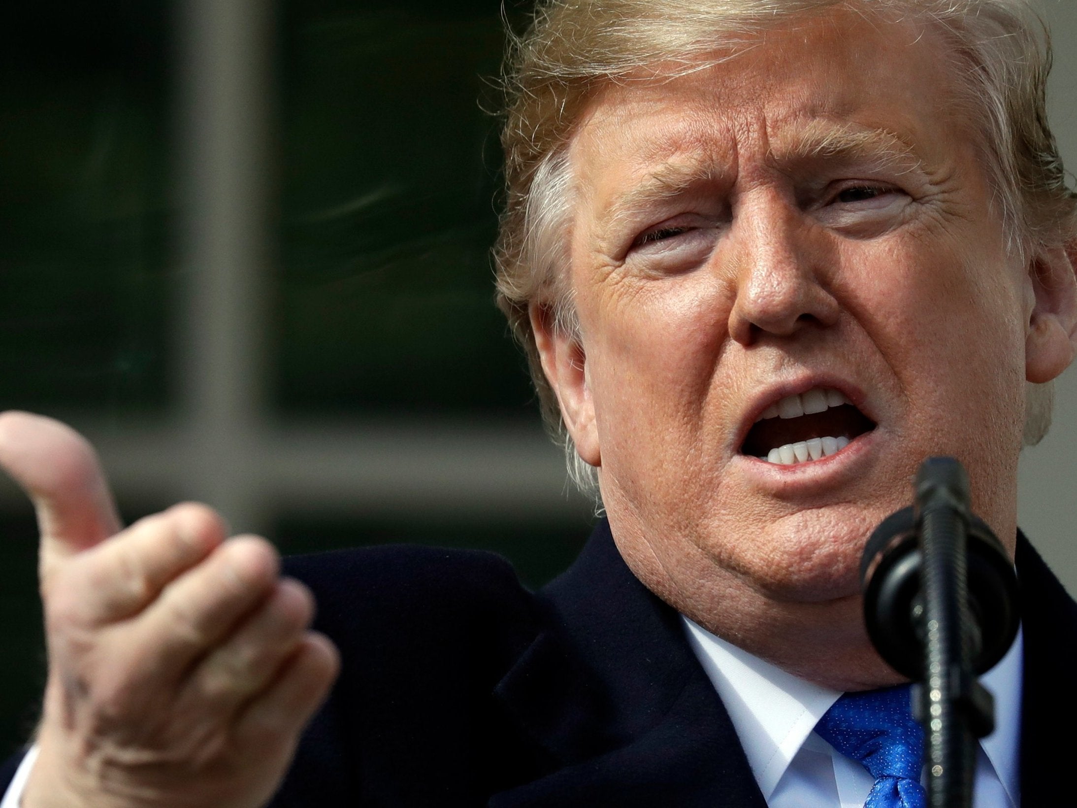 President Donald Trump speaks during an event in the Rose Garden at the White House to declare a national emergency