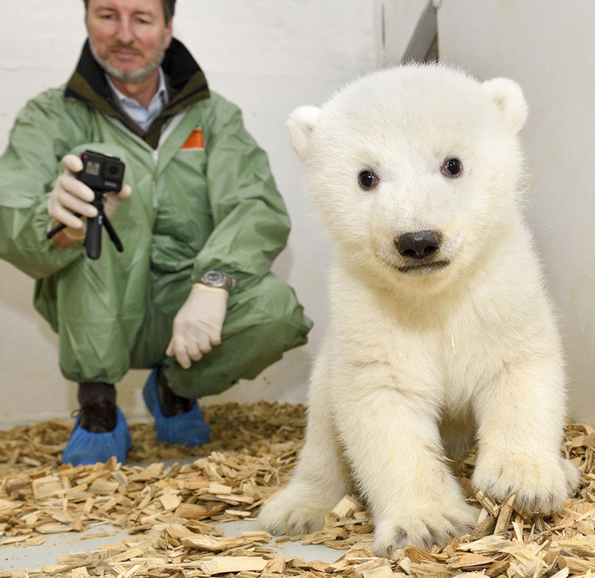 The pictures were taken after the cub's first veterinary examination which revealed that the 11-week old is a female.