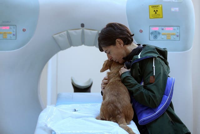A woman hugs her dog before a tomography screening