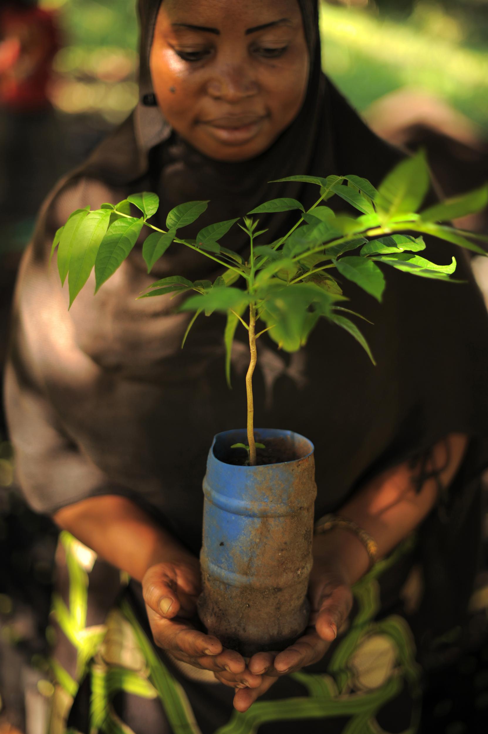 Fatima Salmaan Saleh is using climate-smart agriculture to help preserve the environment