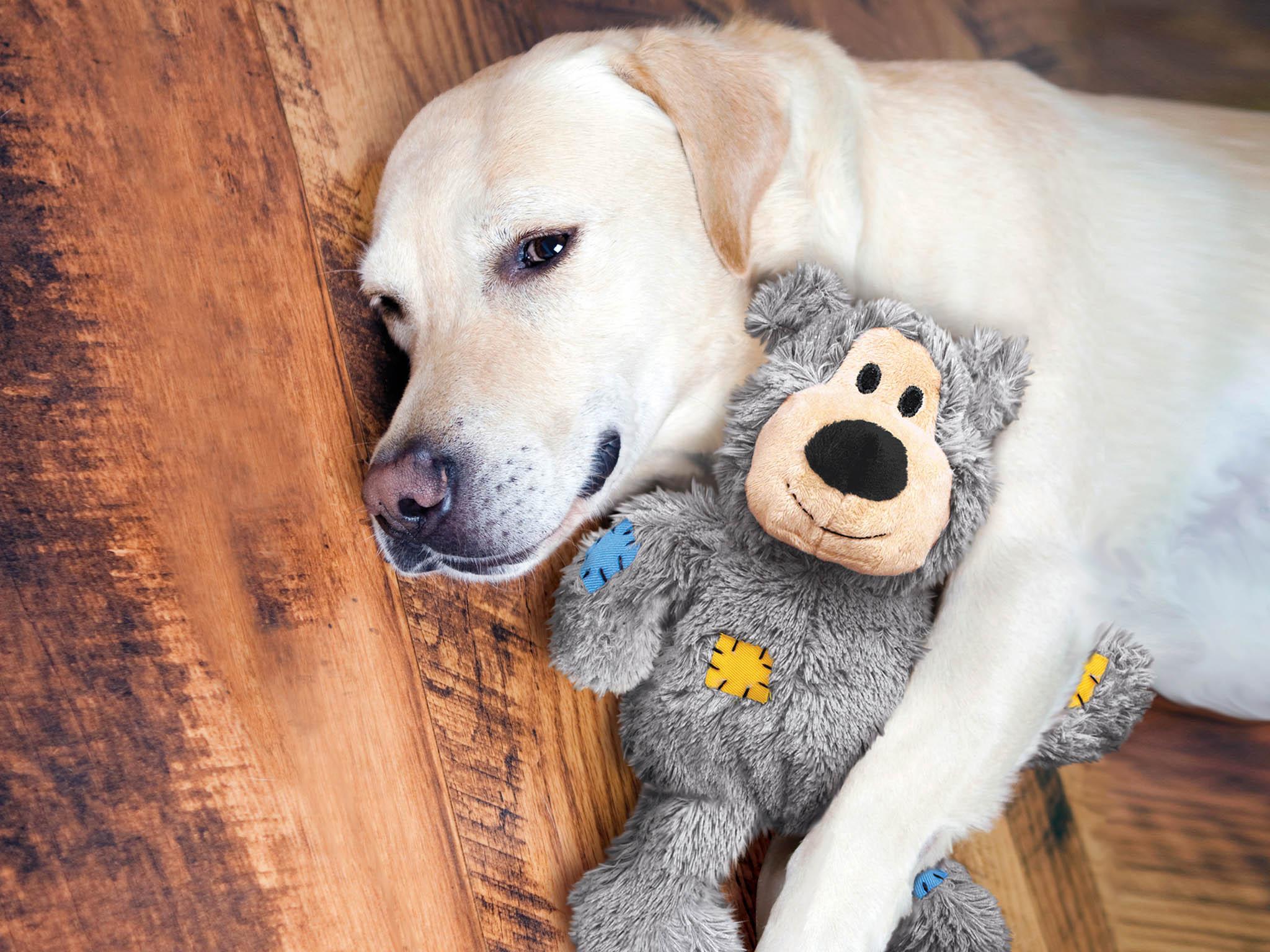 10 best dog toys