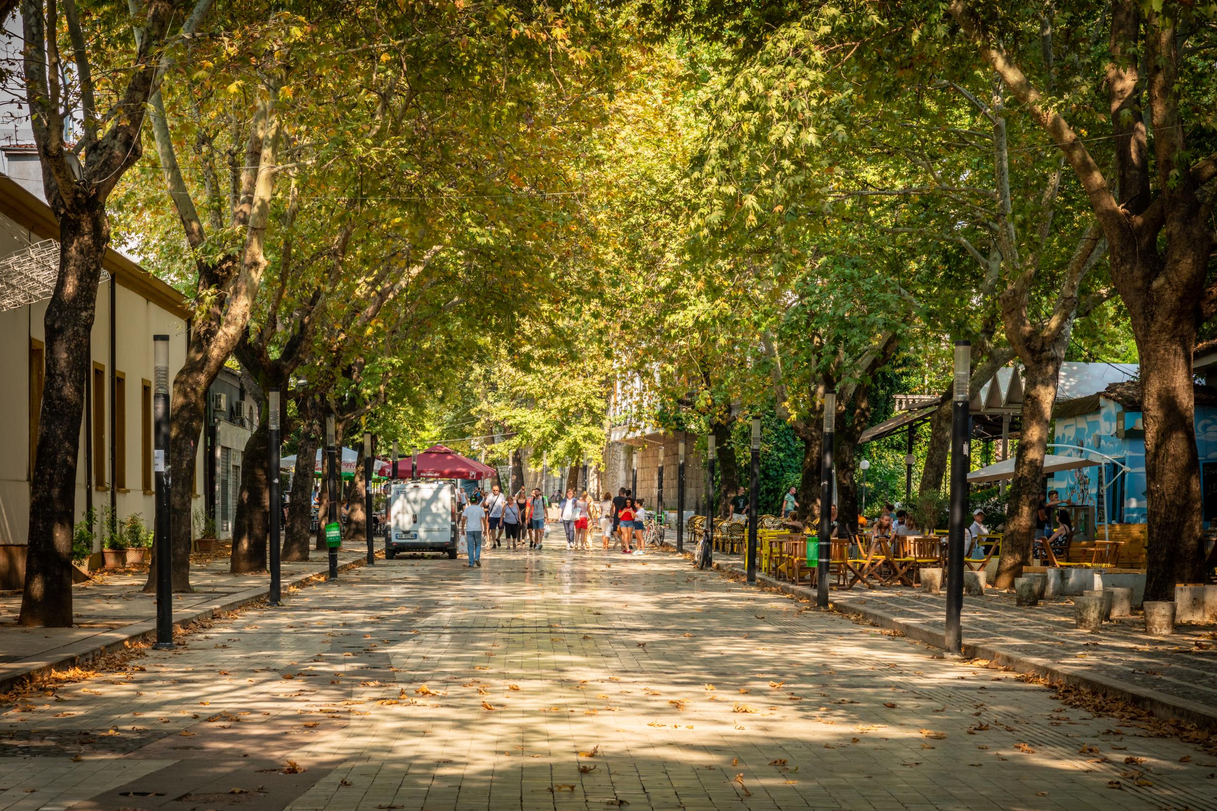 Find leafy streets in Tirana
