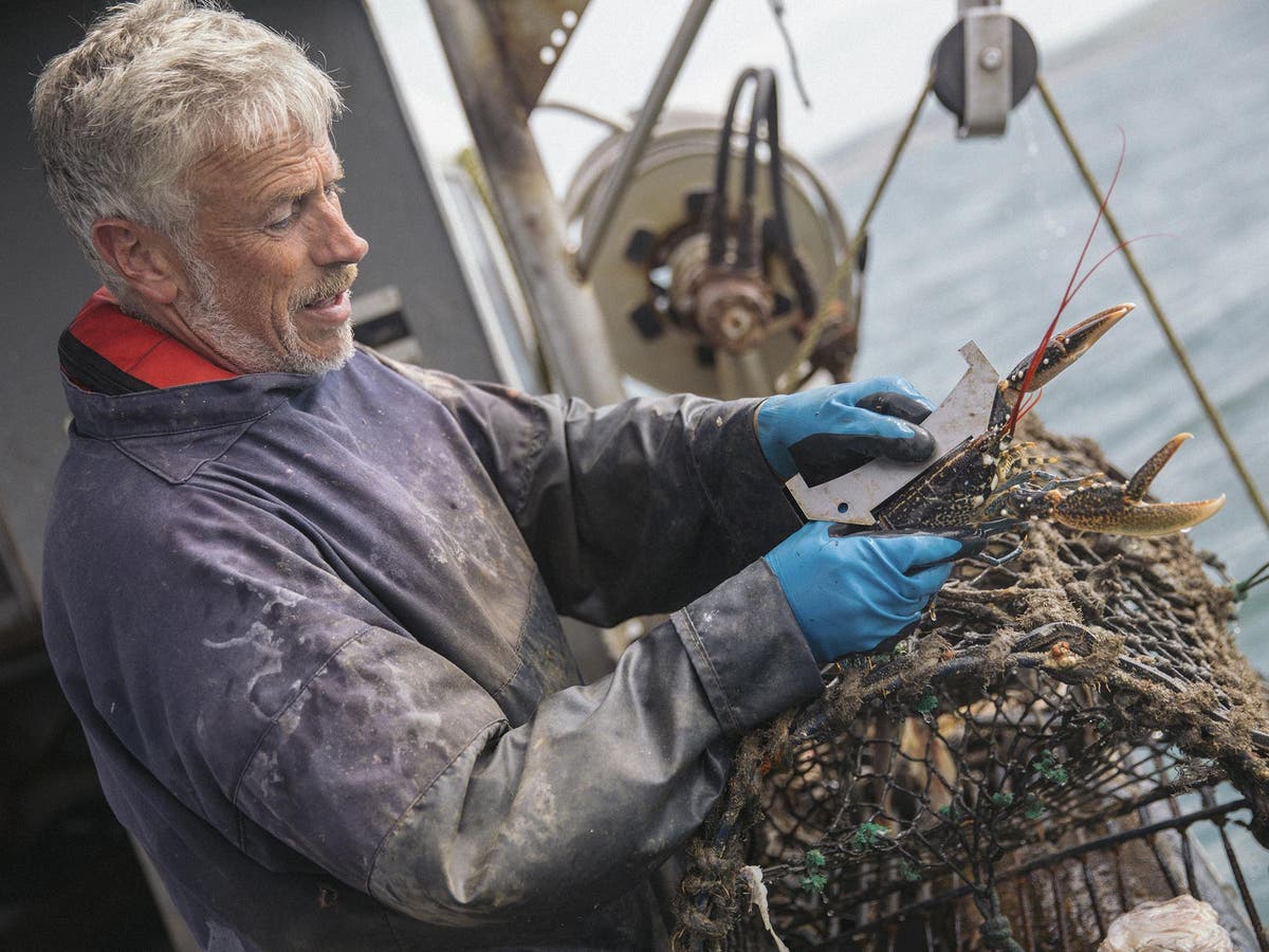 It's not a great time to be an independent fisherman, but one charity is saving the ‘small guy’