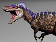 Tiny T rex: Ancestor to the king of the dinosaurs discovered
