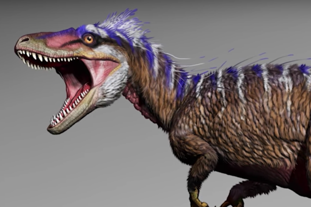 Moros intrepidus lived 96 million years ago and is an ancestor to the formidable Tyrannosaurus rex