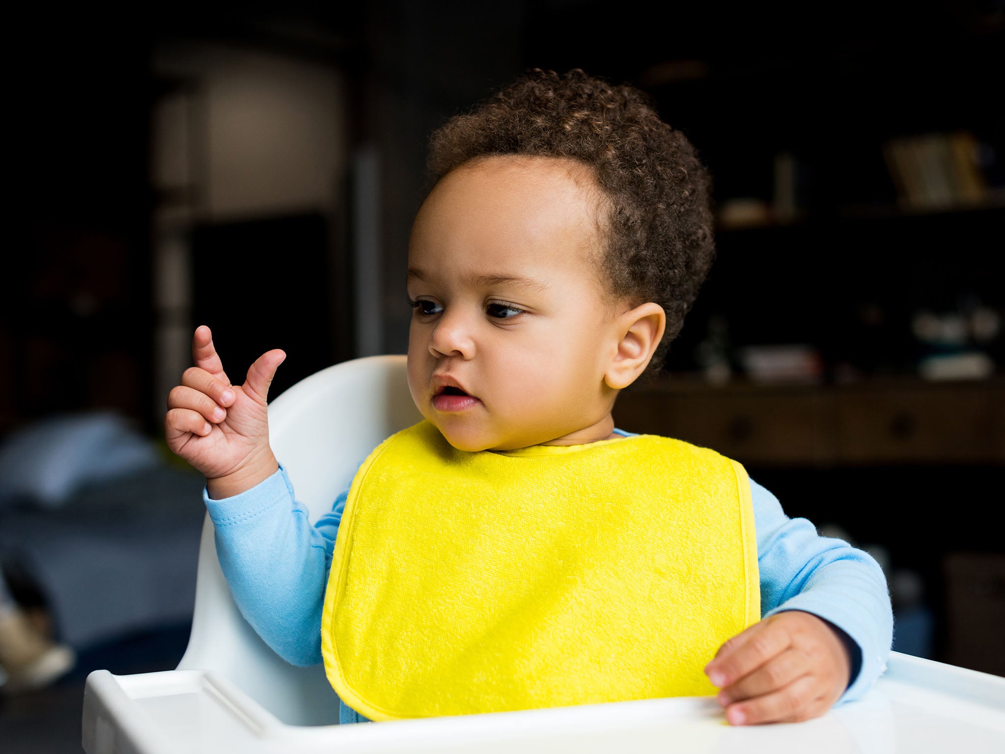 12 Best Highchairs The Independent