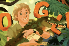 Why Steve Irwin is being remembered