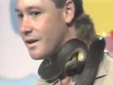 Remembering when a snake bit the Crocodile Hunter in the neck on TV