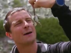 Bear Grylls could be fined for killing and boiling protected frog