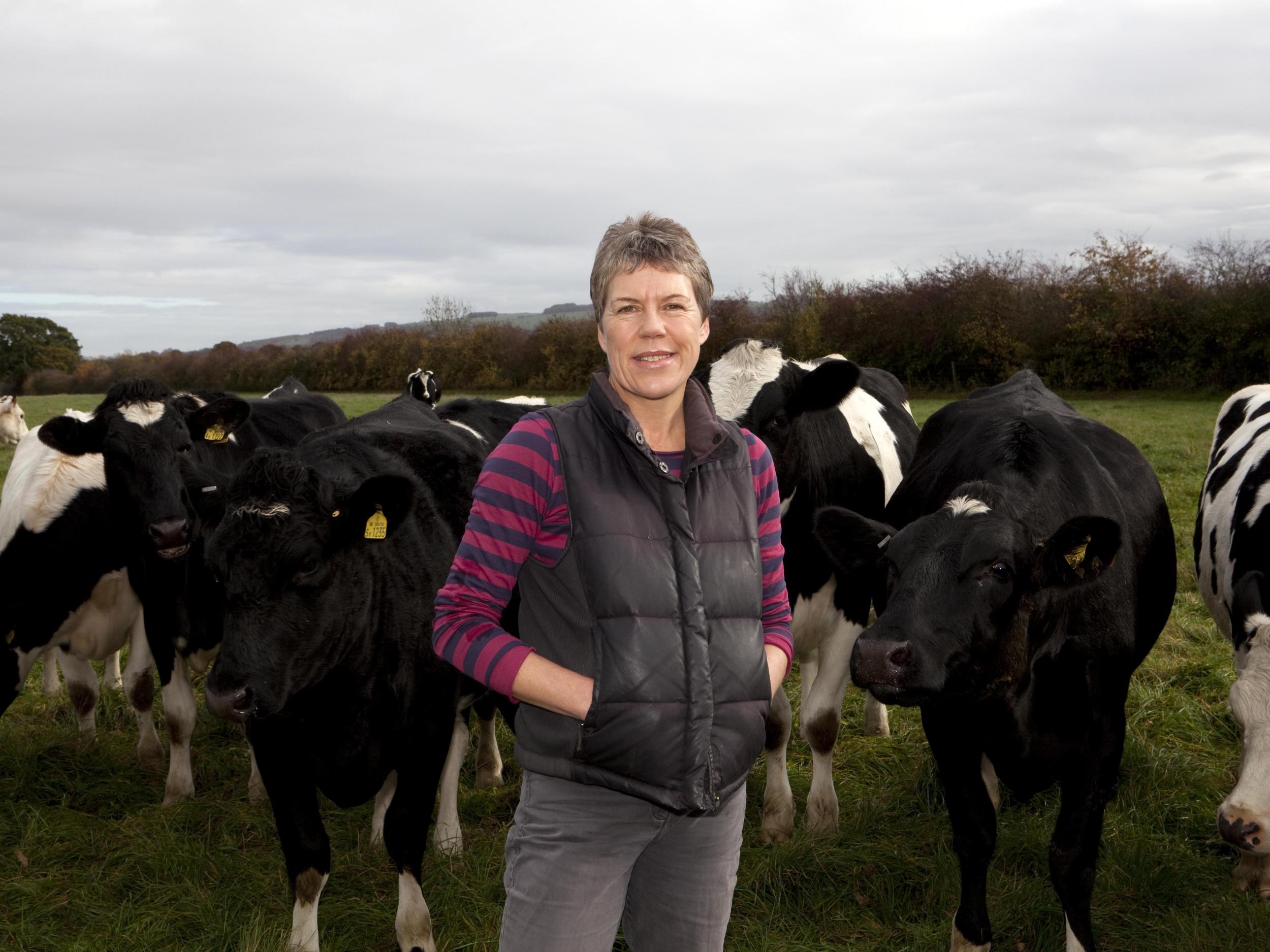 Soil Association CEO Helen Browning says organic exports to the EU ‘could become impossible’ following no-deal Brexit