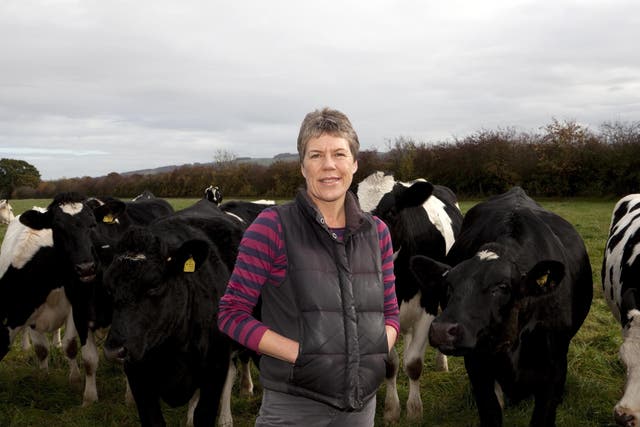 Soil Association CEO Helen Browning says organic exports to the EU ‘could become impossible’ following no-deal Brexit