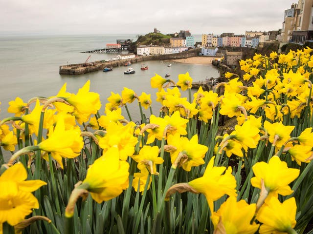 Unseasonably warm weather will continue until the end of the month