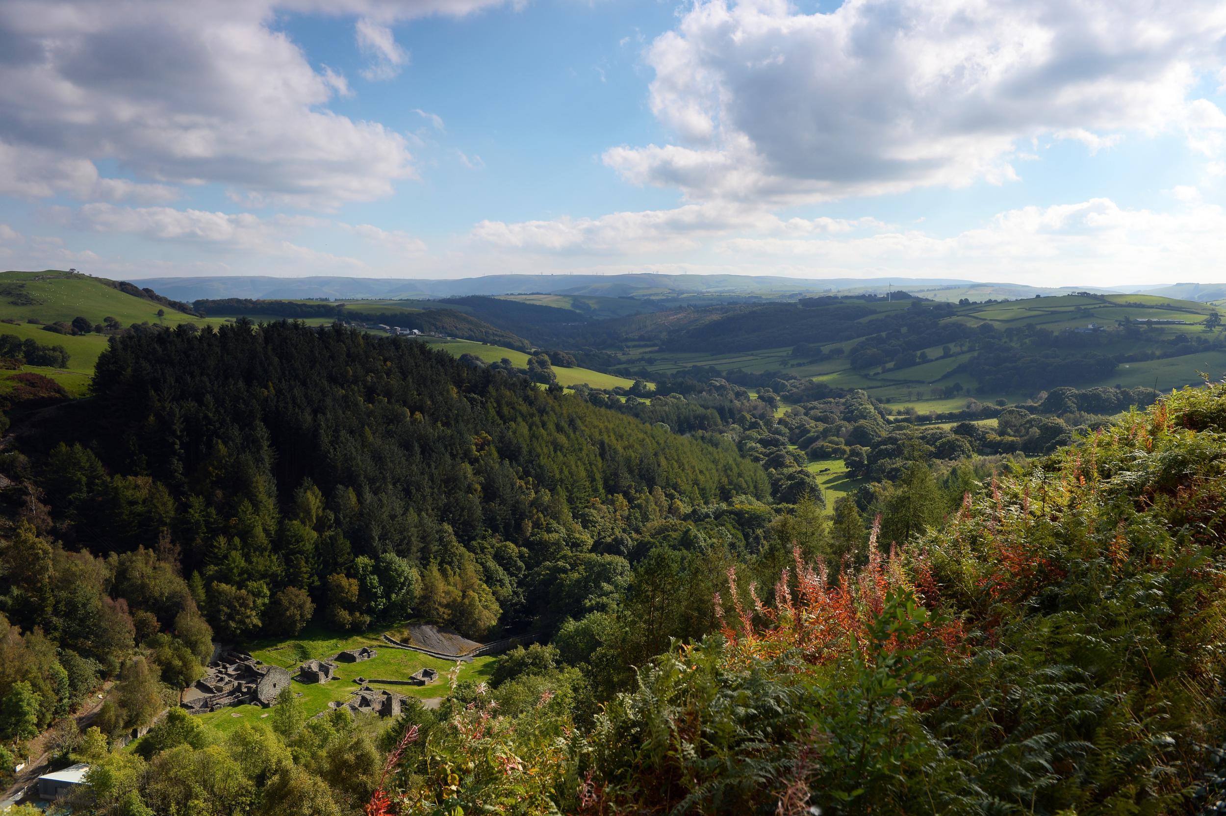 Glyndwr's Way walk (© Crown copyright Visit Wales)