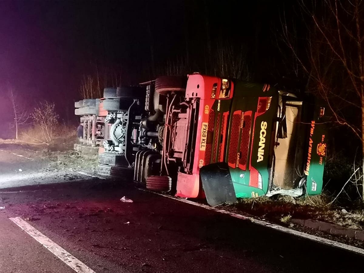 Hundreds of sheep killed after lorry overturns The Independent The