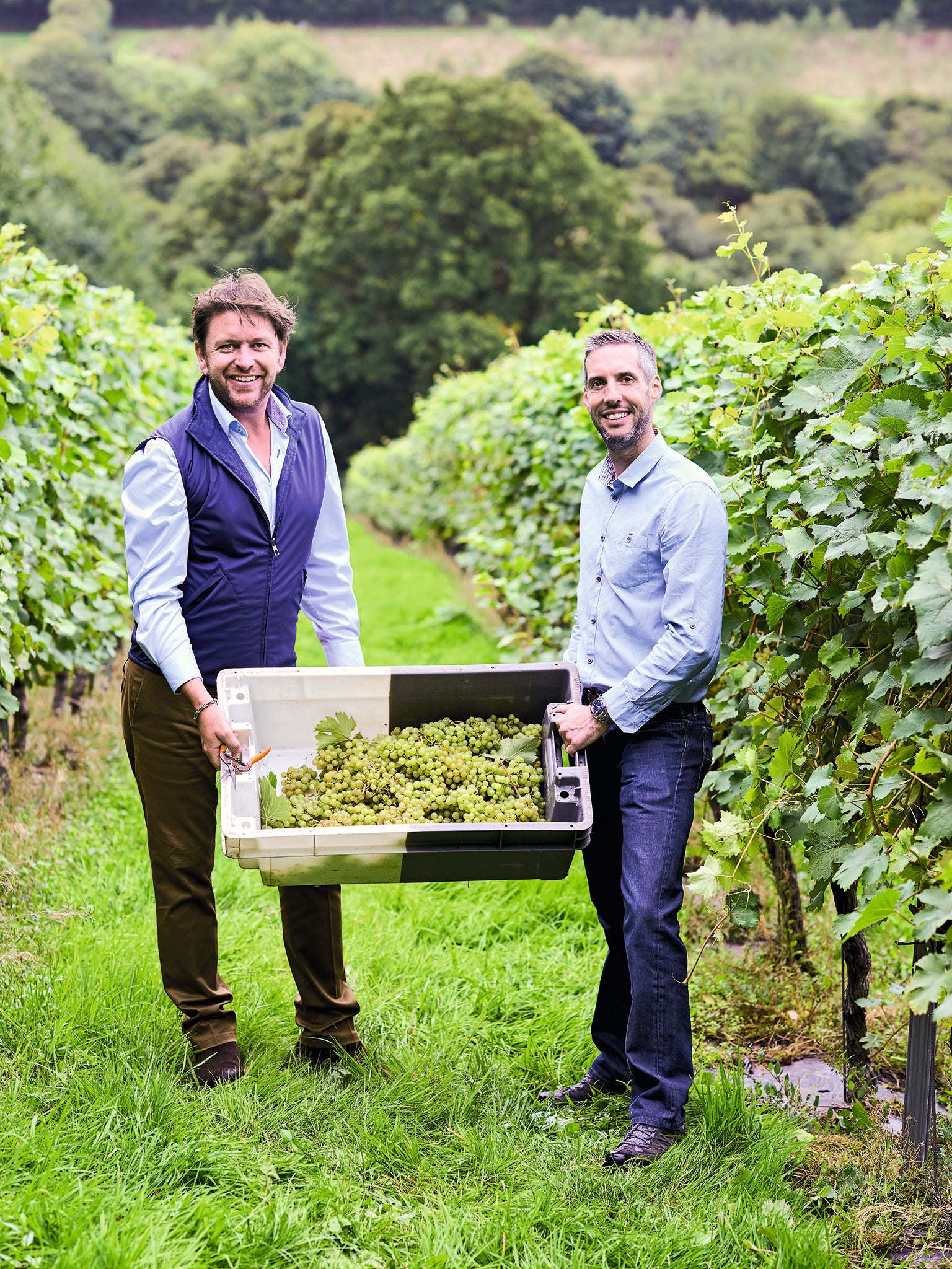 Chapel Down vineyard is one of the country's best wine – and now gin – producers