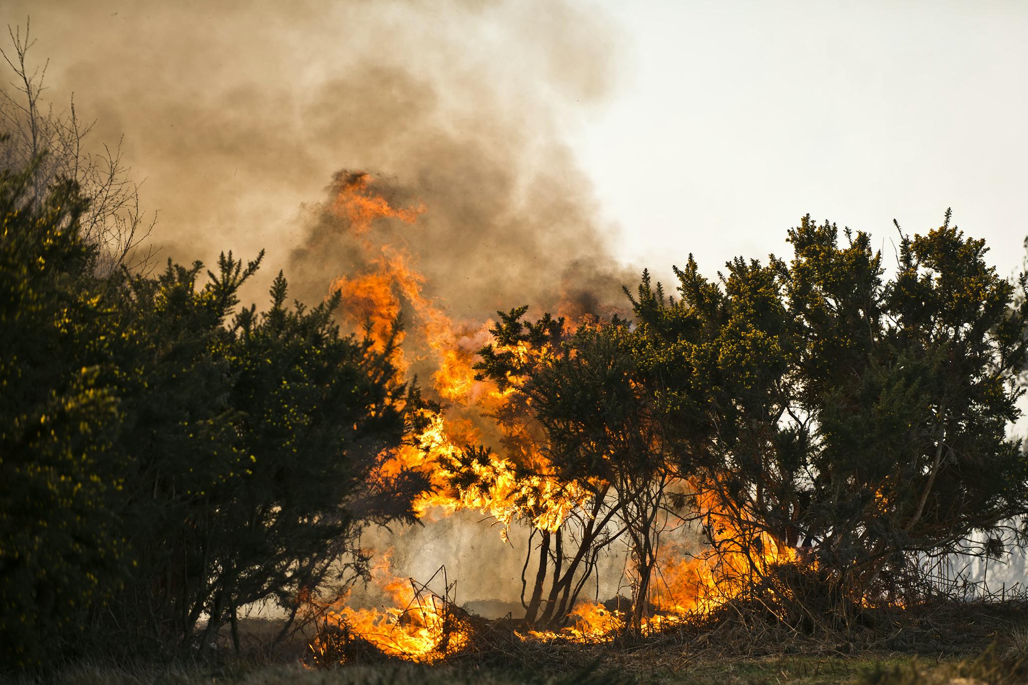 Fire at Ashdown Forest (Eddie Howland/SWNS)