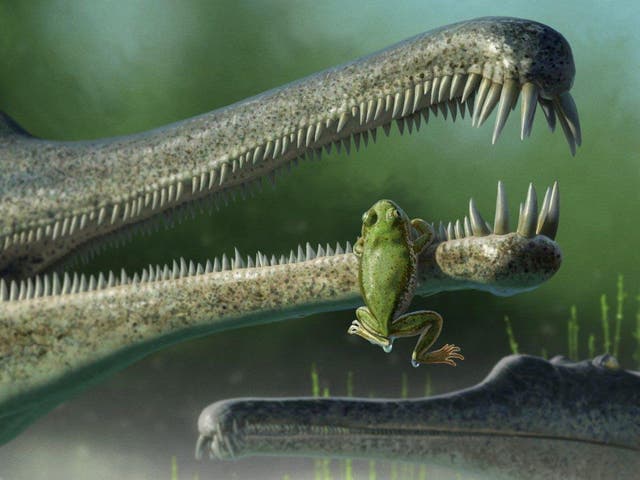 Artist's rendering of Chinle frog, inside the jaw of a giant, crocodile-like phitosaur