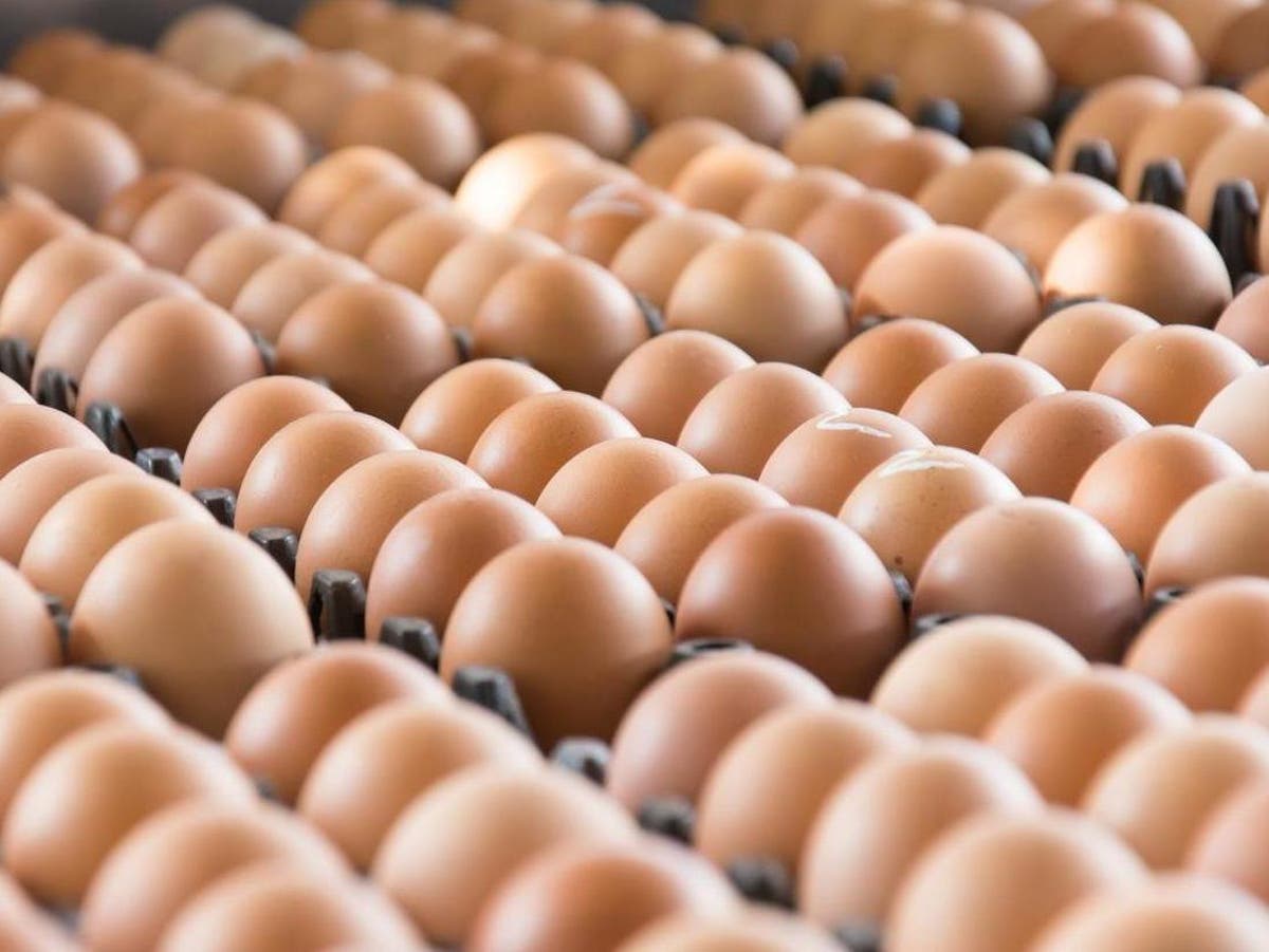 Egg sales in UK skyrocket due to increased number of flexitarians and