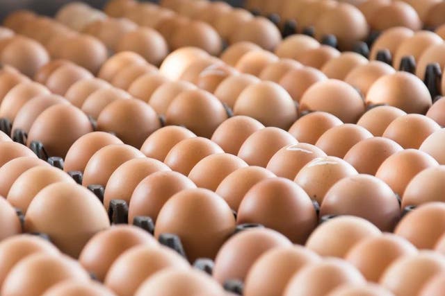 Around 2 per cent of adults studied ate two or more eggs a day but consumption has increased since cholesterol limits were removed from guidelines