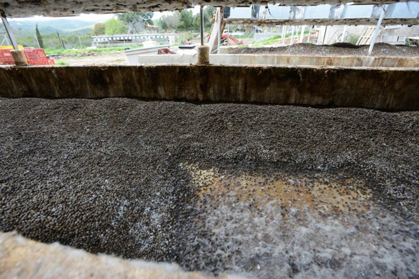 Excrement below rabbit cages on industrial farm