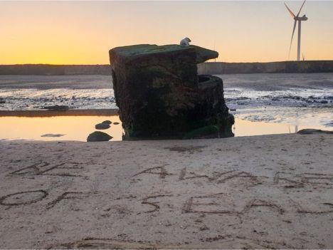 A warning message was left in the sand until RSPCA officers managed to rescue it