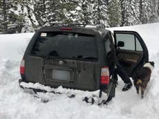 Man and dog survive five days trapped in snow by eating taco sauce
