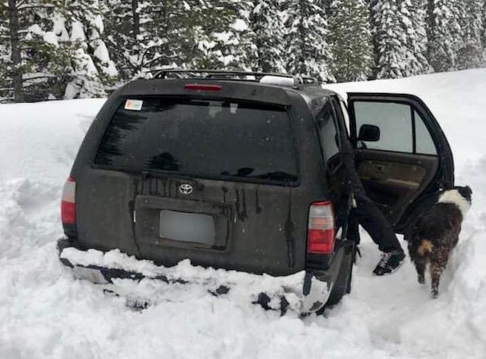 Man And Dog Survive Five Days Trapped In Snow By Eating Taco Sauce The Independent The Independent