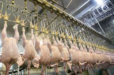Farmers lash Johnson over ‘mumbo jumbo’ post-Brexit food claim
