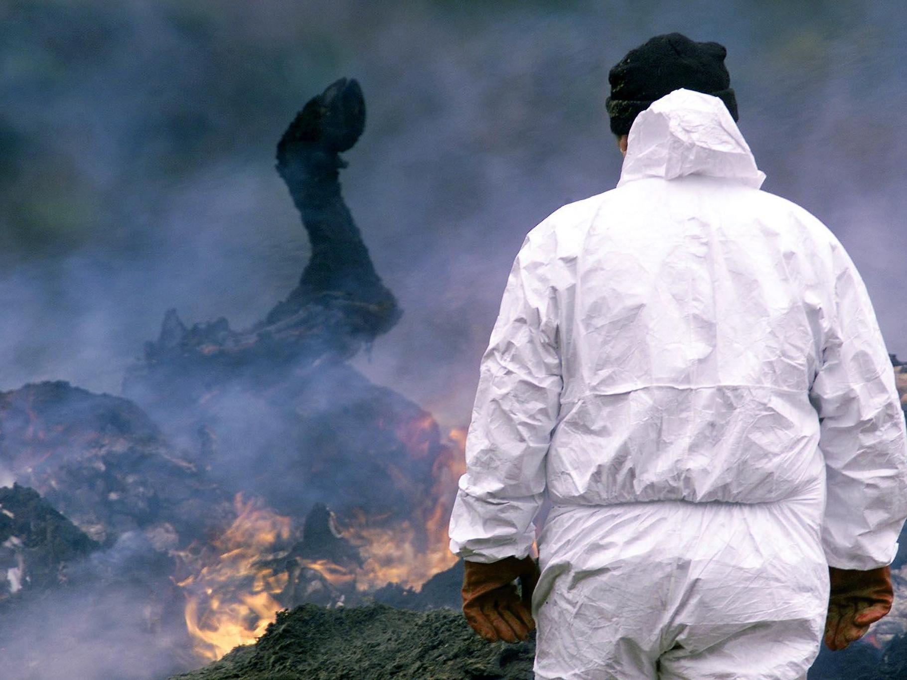A government official supervises as funeral pyres burn at a farm in Dartmoor, March 2001