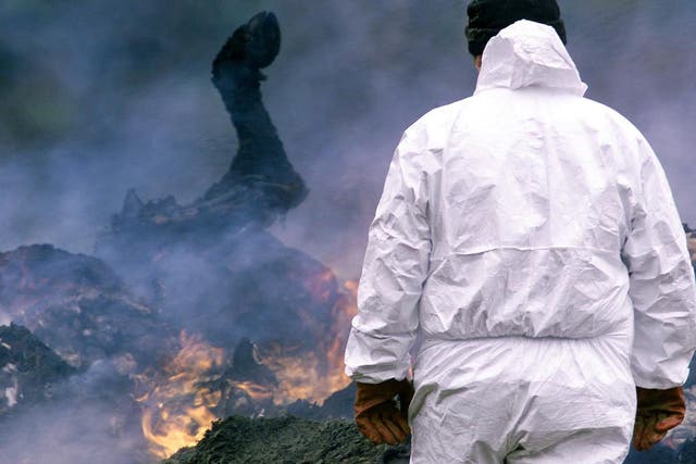 A government official supervises as funeral pyres burn at a farm in Dartmoor, March 2001