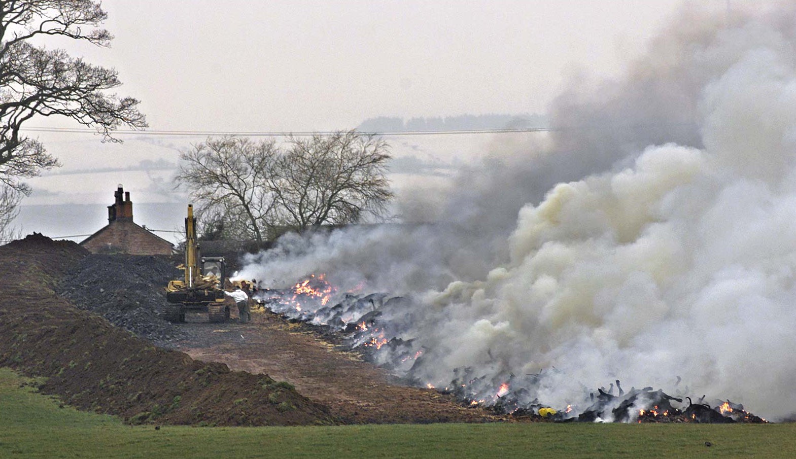 Acrid smoke billows from a funeral pyre of burning carcasses in Cumbria, March 2001