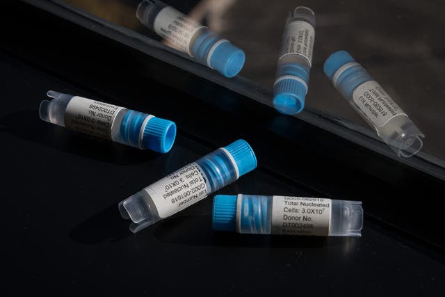 Liveyon, a company in Yorba Linda, Calif., sells tiny vials of a solution it says is derived from umbilical cord blood, which it claims is an especially potent source of healing stem cells