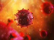 Patient ‘cured’ of HIV could ‘open the door’ to new treatments