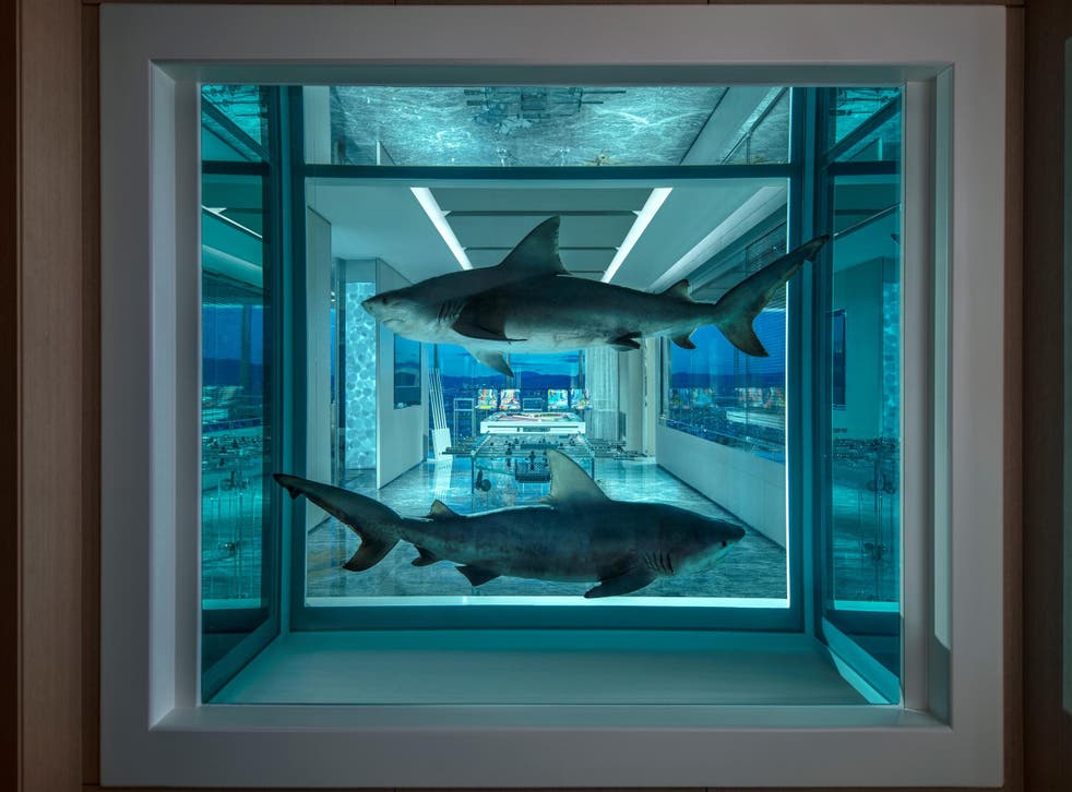 Damien Hirst's Empathy Suite includes two bull sharks set in formaldehyde