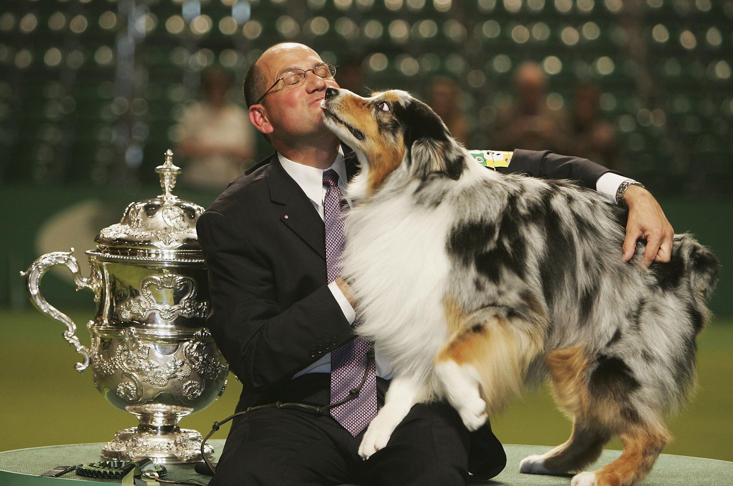 Best in show 2018 2024 crufts