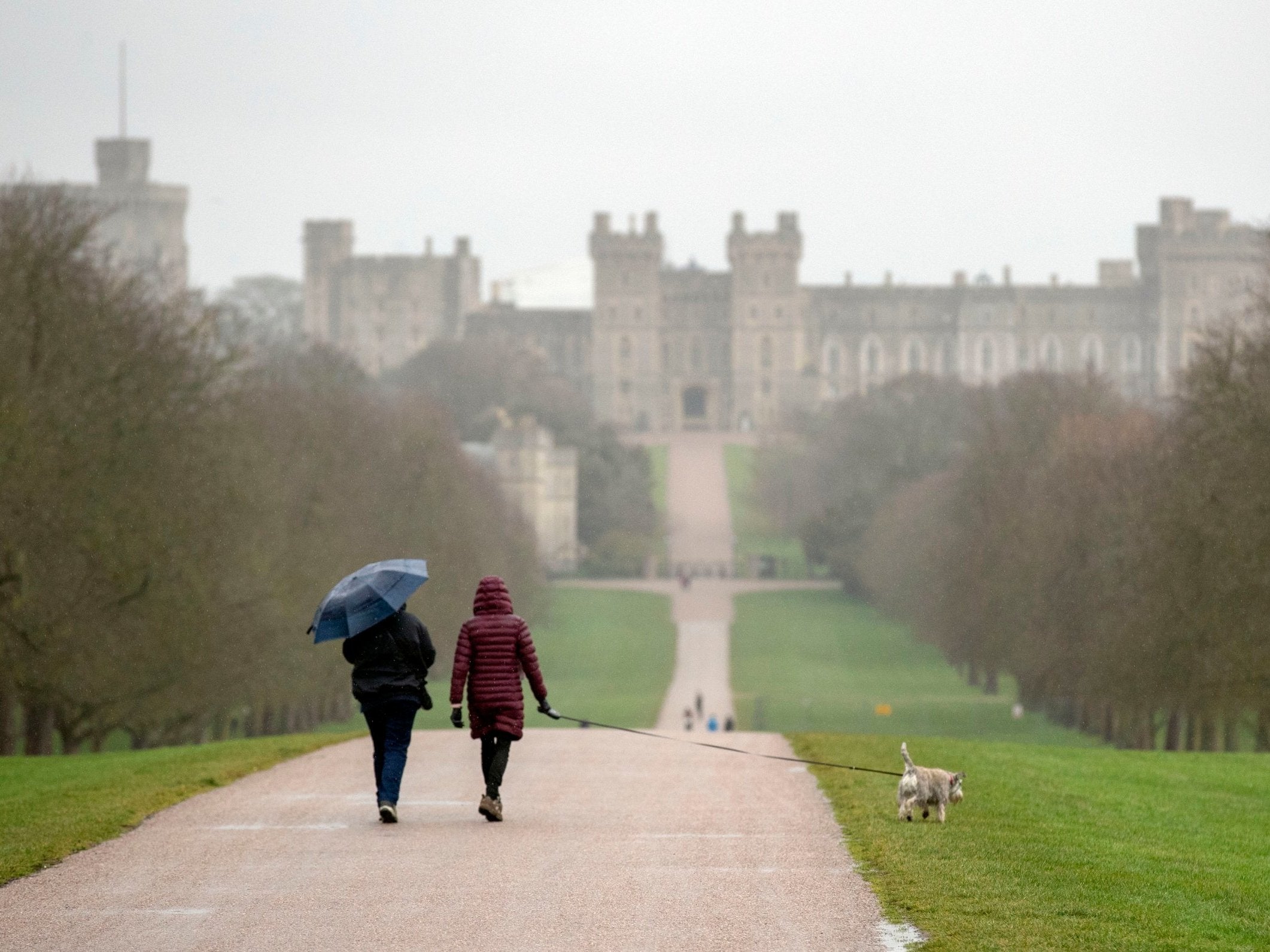 Dog walkers on the Long Walk at Windsor Castle in Berkshire