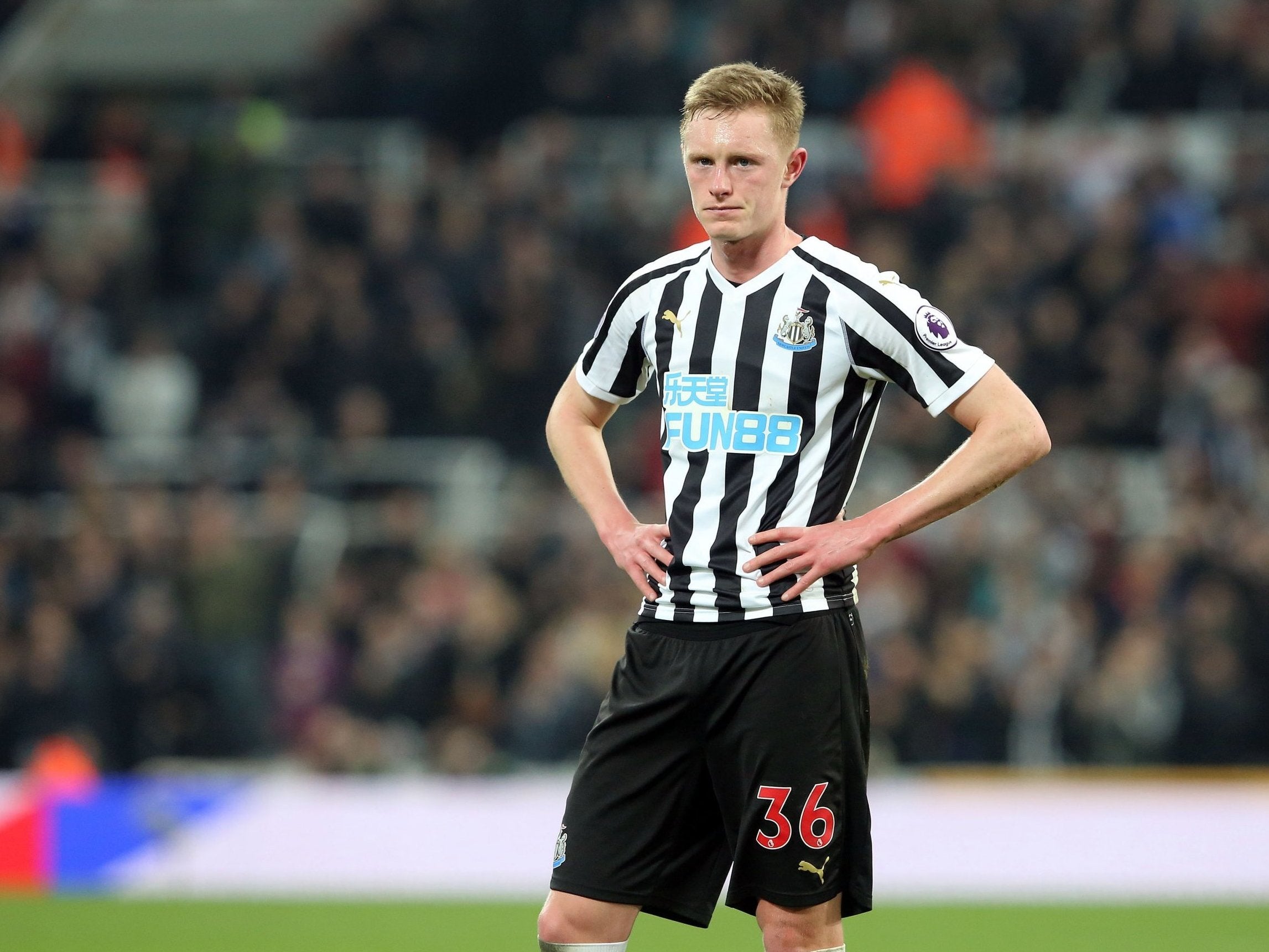 Sean Longstaff to miss England fixtures as Newcastle confirm his season is over with injury | The Independent | The Independent