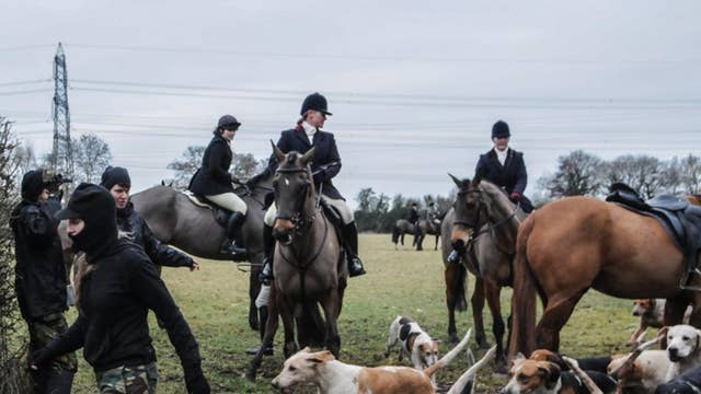 Police Chiefs Routinely Turn Blind Eye To Illegal Fox Hunting As Hunts Go Unchecked Report Claims The Independent