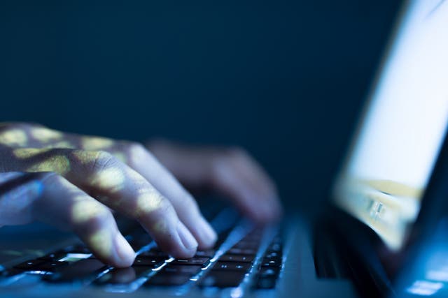 Officers say many children lured into cyber crime are on the autistic spectrum