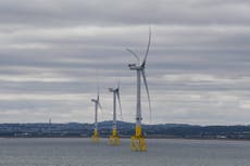 Renewables 'to replace fossil fuels as UK's main power source' by 2030