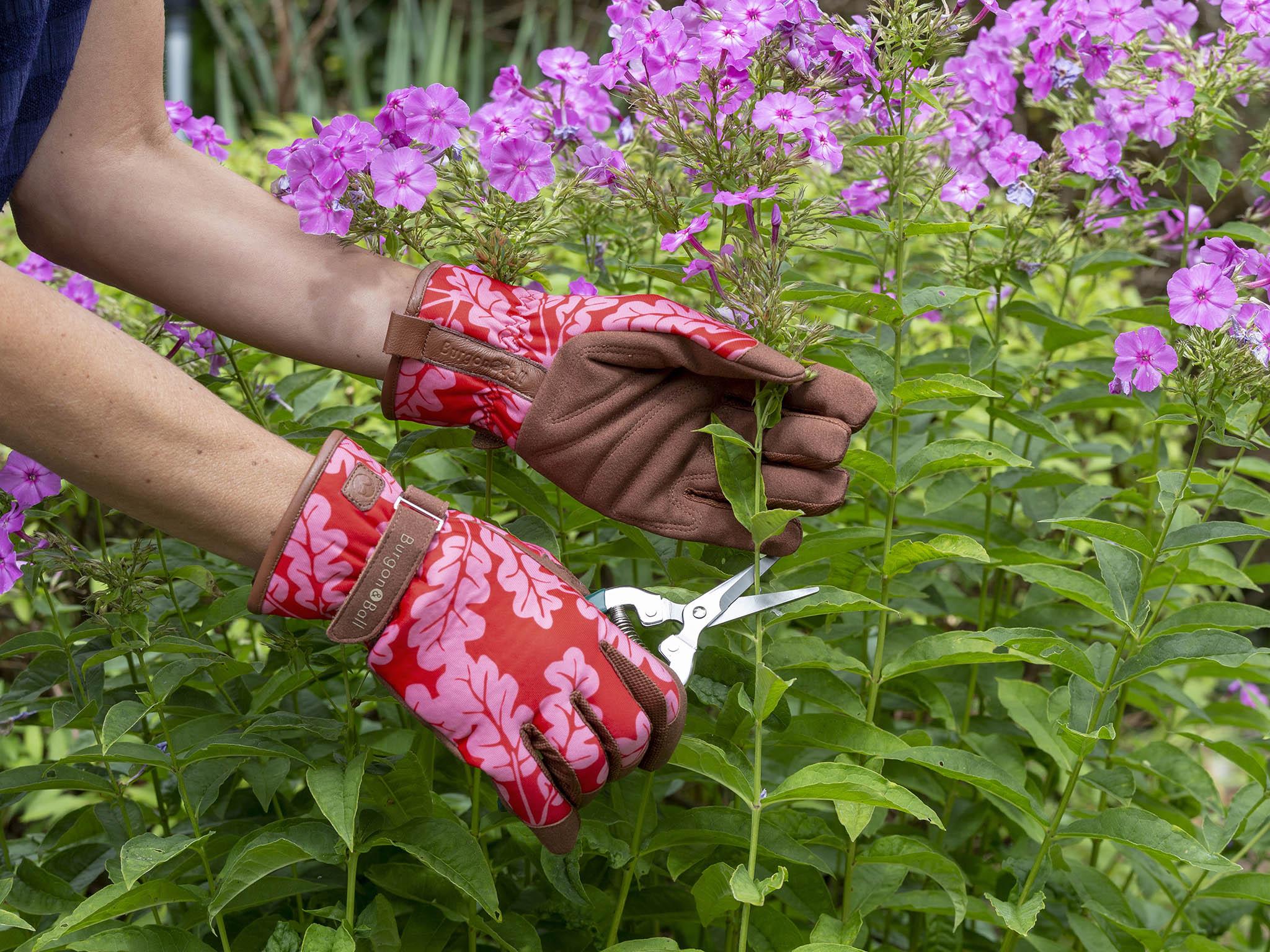 10 Best Mothers Day Gardening Gifts The Independent