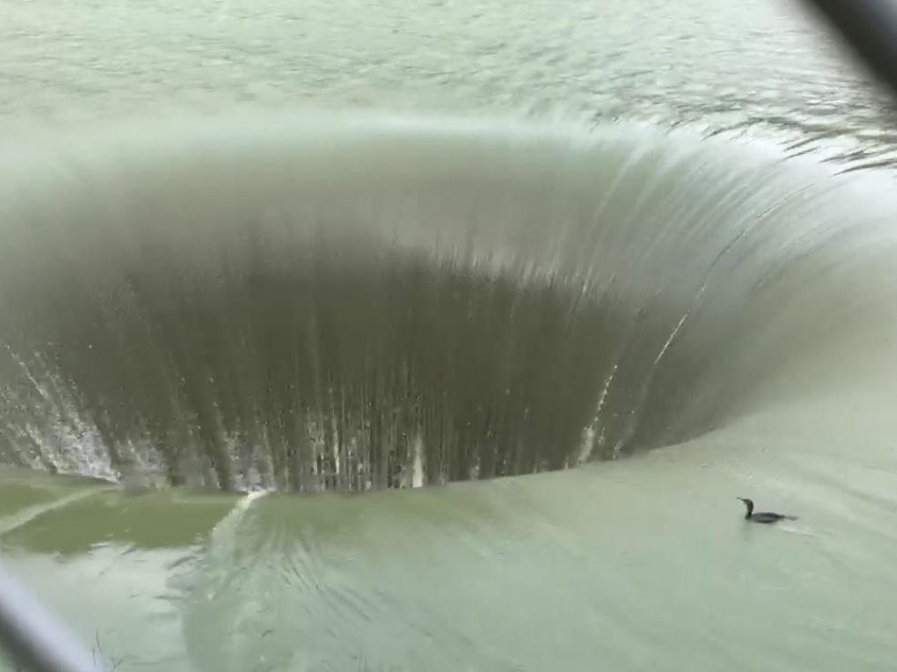 Duck swallowed by giant glory hole survives 200ft fall The Independent The Independent
