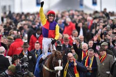 Latest Cheltenham Festival results and schedule