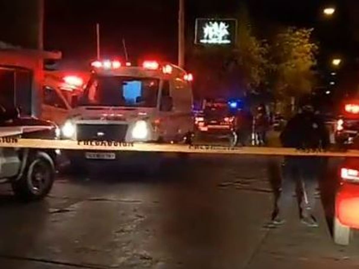 Salamanca nightclub shooting 'leaves 14 dead' in Mexico after gunmen open fire on dancefloor