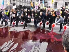 Climate change protesters pour fake blood outside Downing Street