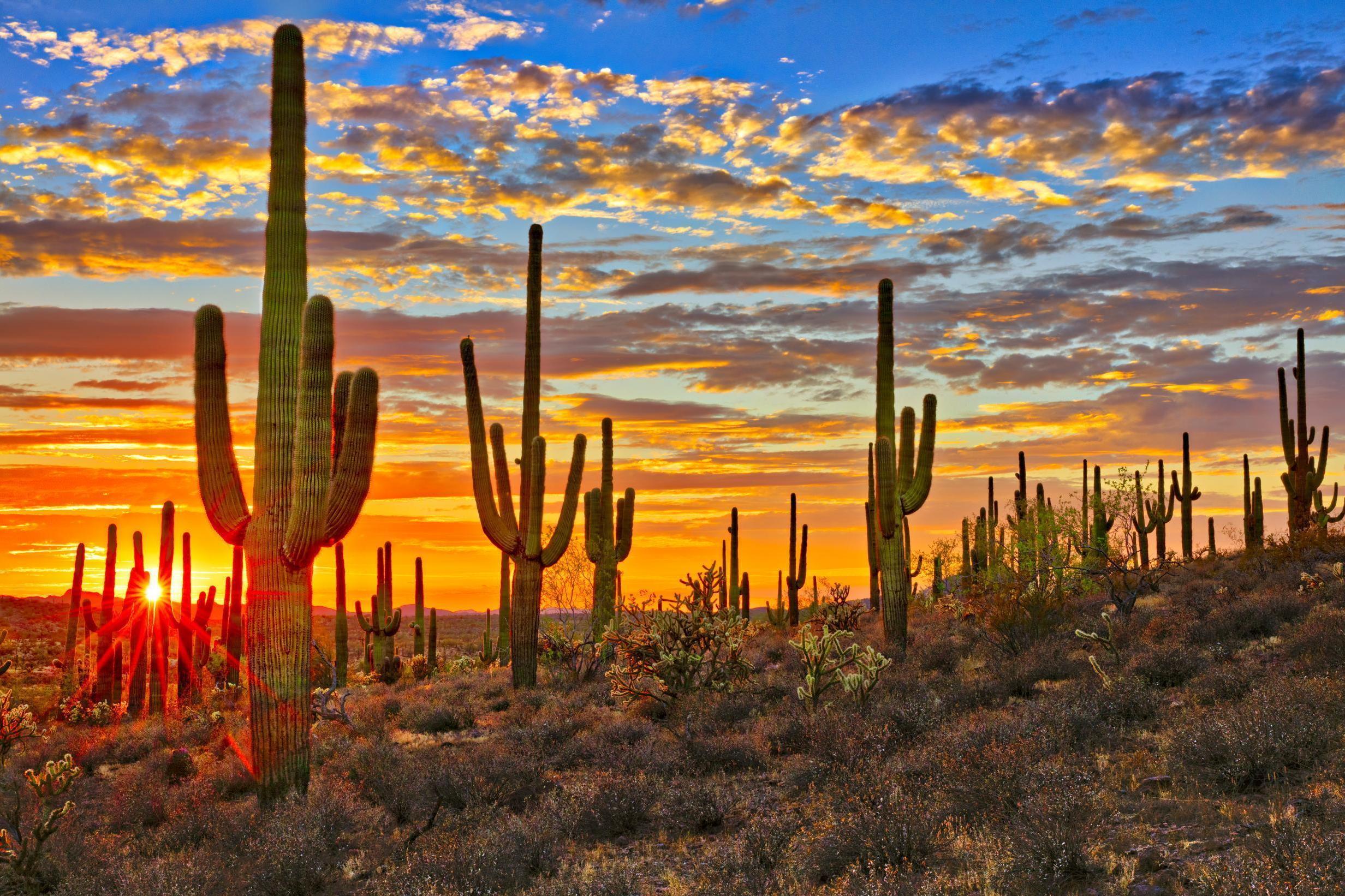 Most of Arizona Has No Daylight Saving Time