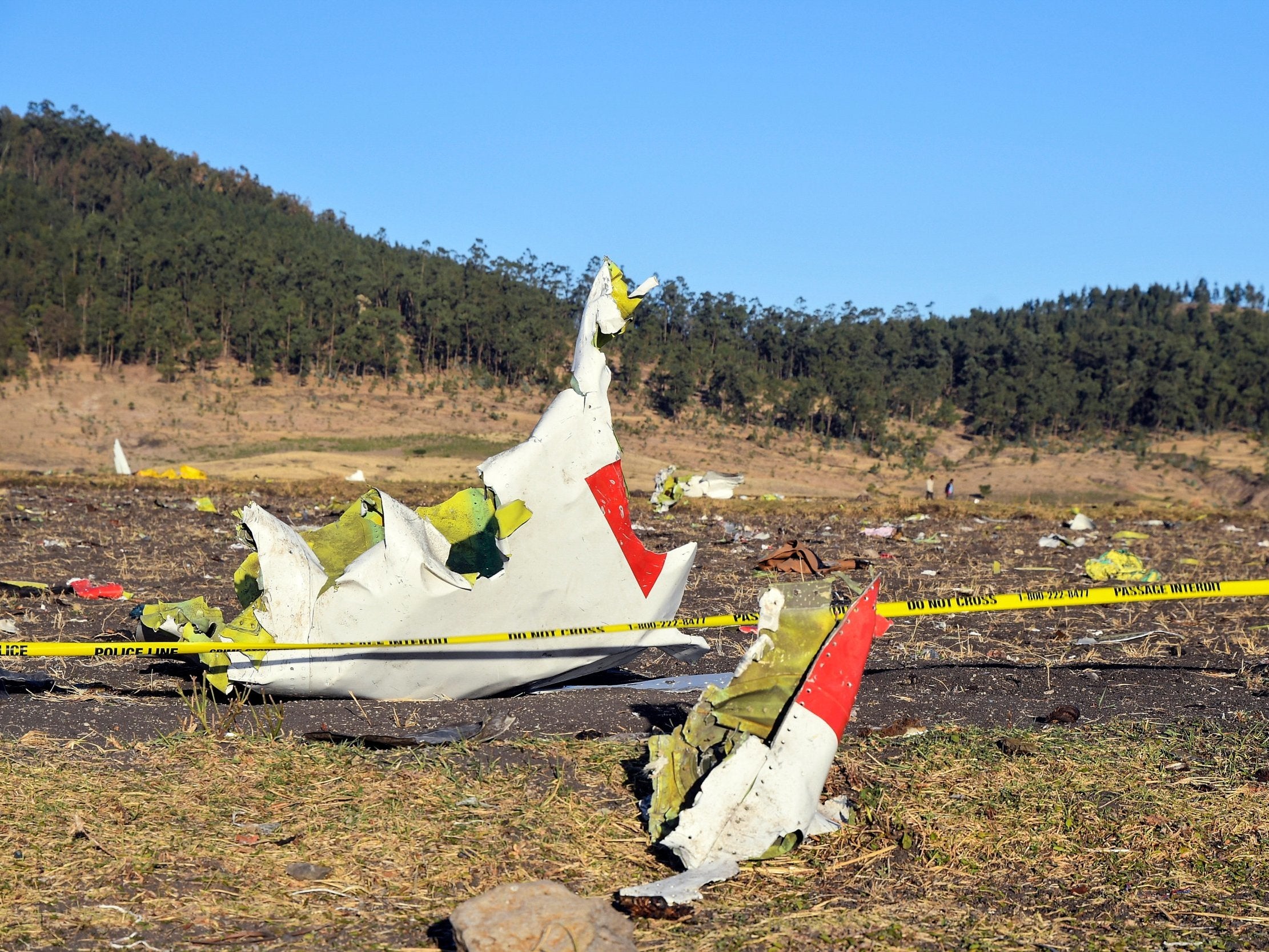 China and Indonesia ground Boeing 737 jets after deadly Ethiopia crash