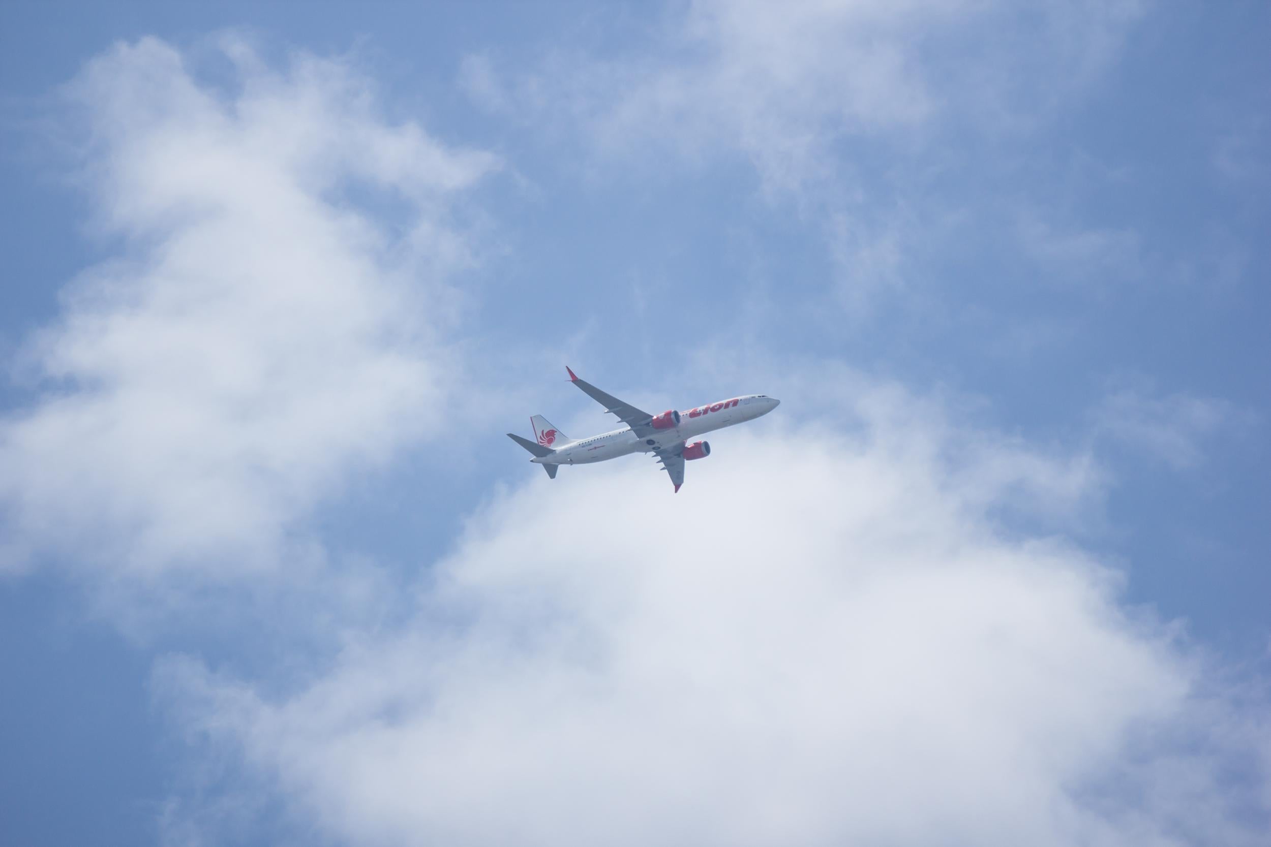 A Boeing 737 MAX jet, flown by Lion Air