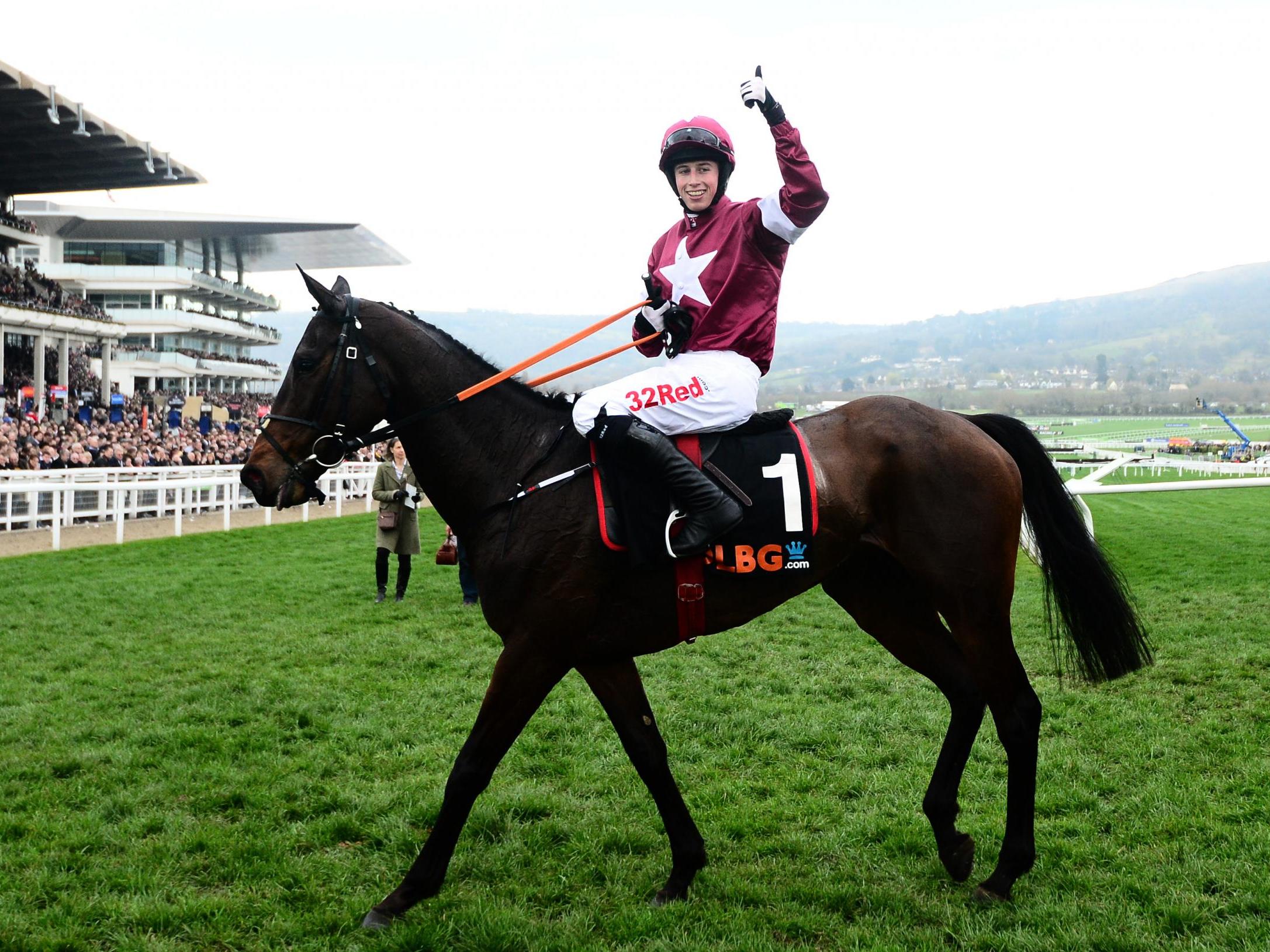Apple's Jade is bidding to dethrone Buveur D'Air in the Champion Hurdle